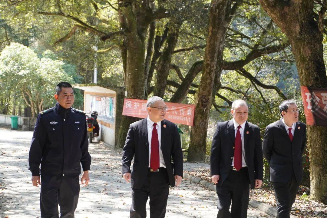 2025年新澳天天开彩资料与警惕虚假宣传-全面释义、构建解答解释落实